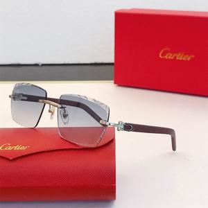 Cartier Sunglasses 848